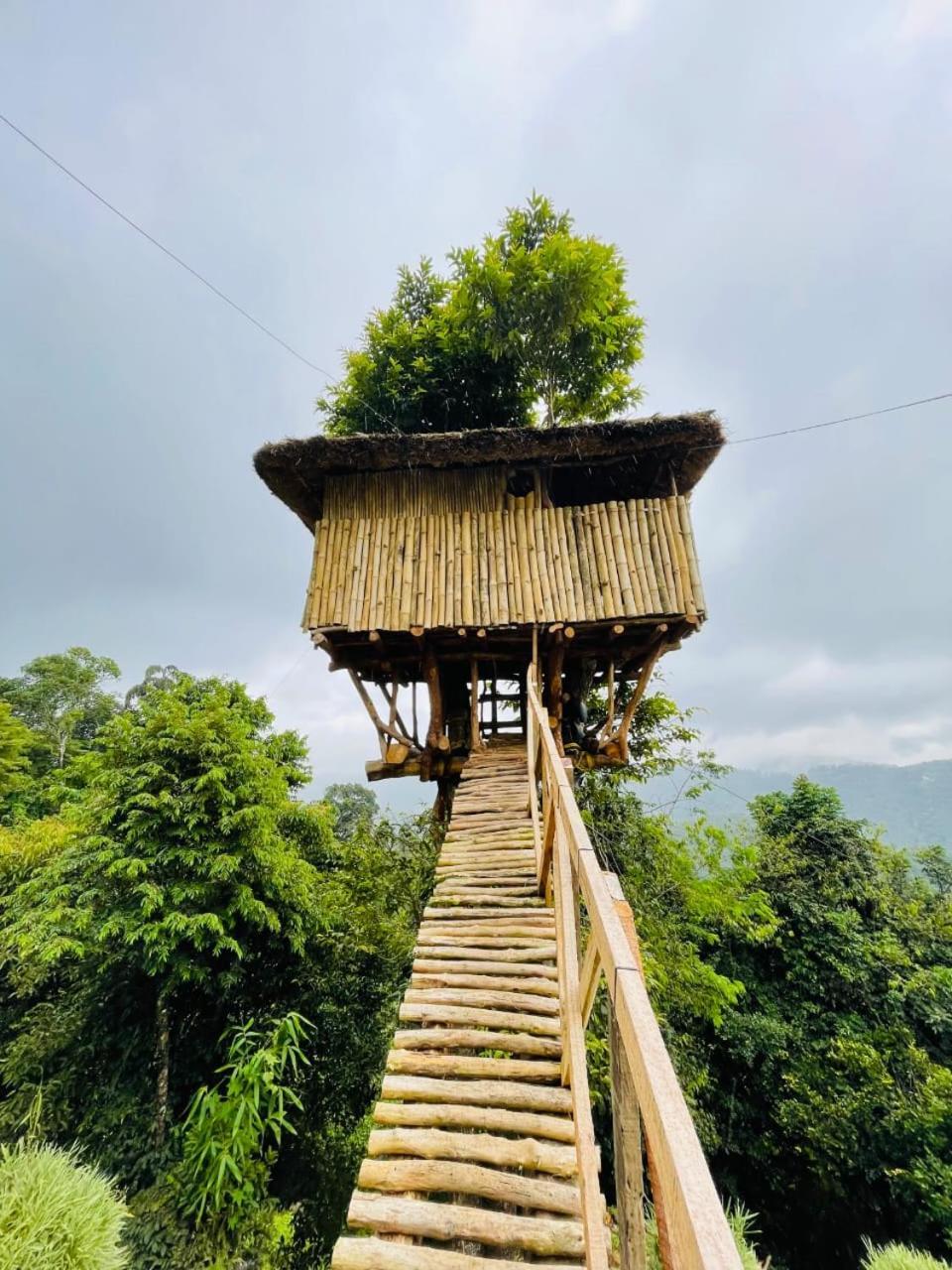 Palkulam Heights Villa Kumudi Buitenkant foto